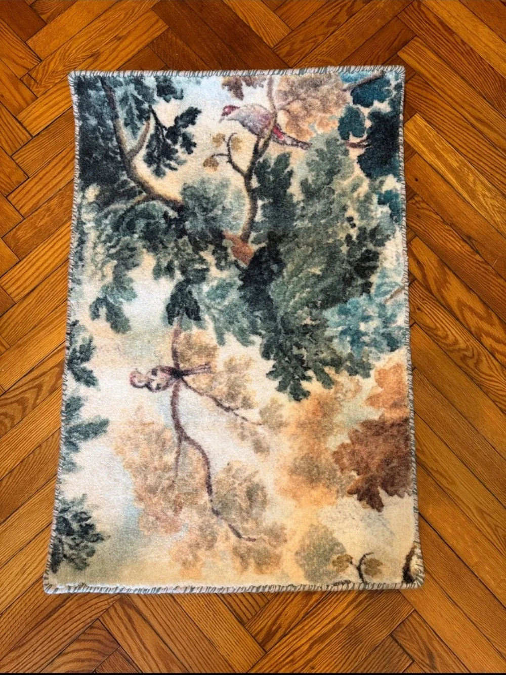 Anthropologie Judarn Printed Rug size 2X3/ 61cmX91cm